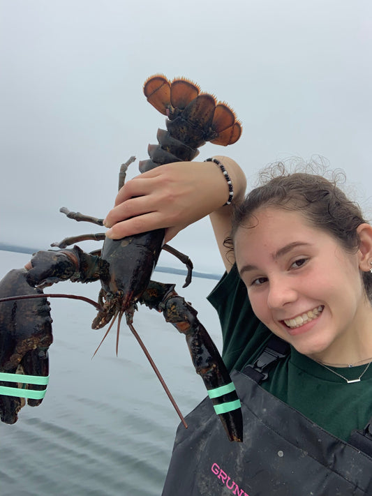 Maine Lobster Tours with a Twist: Oysters, Tastings & Coastal Views