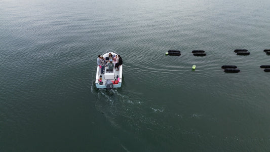 Nauti Sisters Sea Farm: A Hidden Gem in Yarmouth, Maine