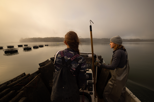 As Seen in Maine Magazine: Nauti Sisters Featured in “Want to Help Combat Climate Change? Eat More Oysters.”