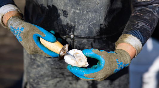 How to Shuck an Oyster Like a Pro – Or Watch Us Do It on the Boat! 🦪⚓